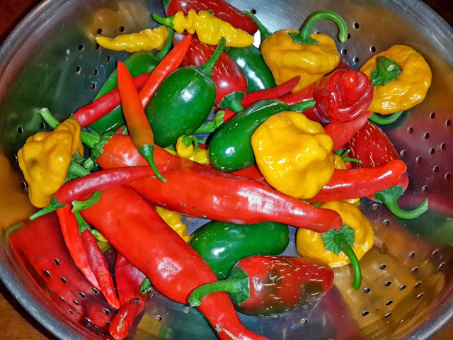 20140308_161616.jpg