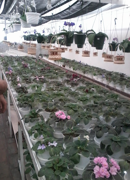 20140316_113910.jpg