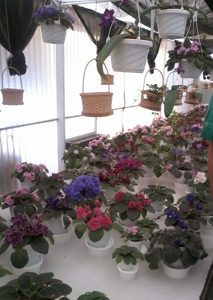 20140316_113914.jpg