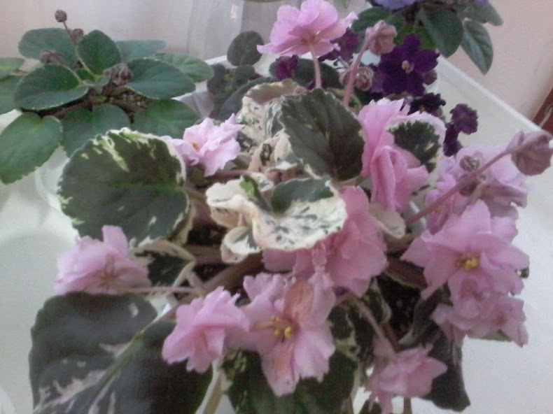 20140316_183921.jpg