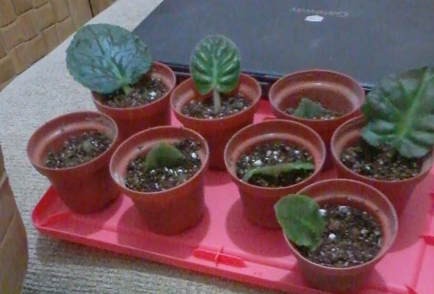 20140319_205937.jpg
