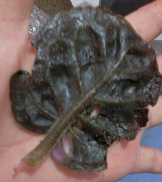 20140319_210054.jpg