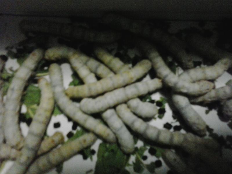 20140330_005407.jpg