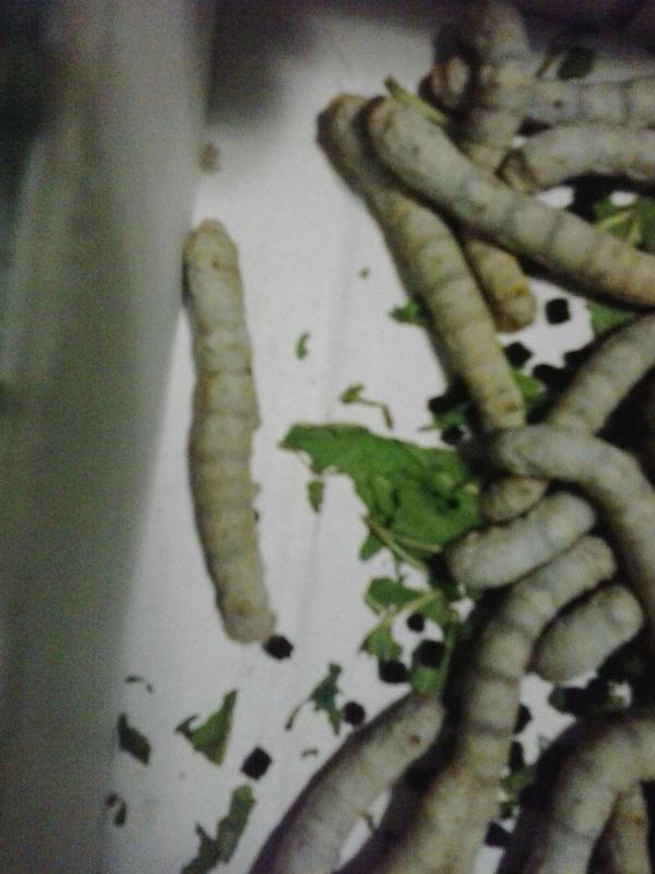 20140330_005446.jpg