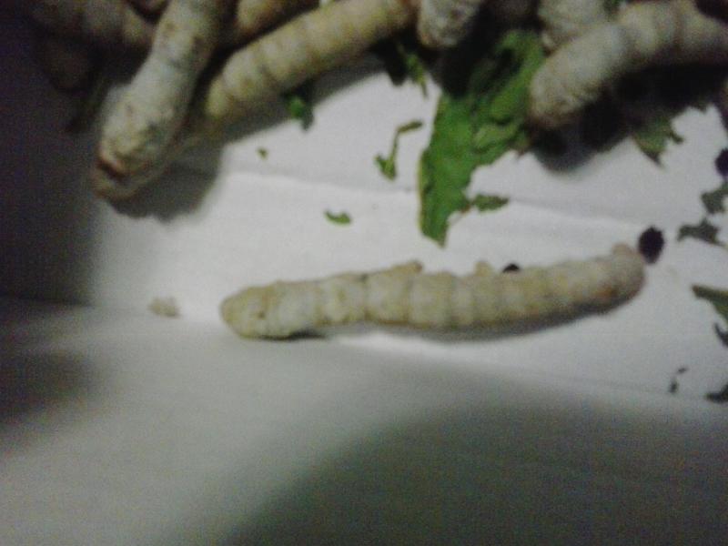 20140330_005502.jpg