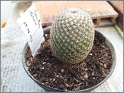 20140401_175857.jpg