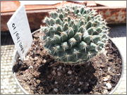 20140403_131545.jpg