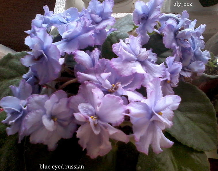 20140412_125301.jpg
