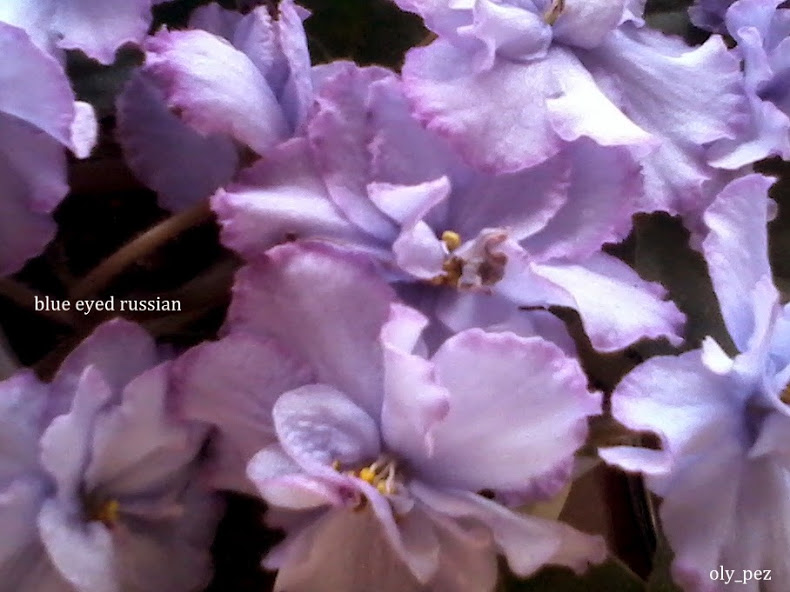 20140412_125306.jpg