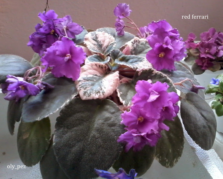20140412_125521.jpg