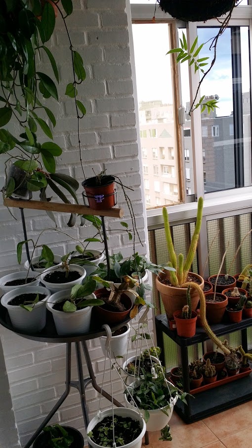 20140415_184035.jpg