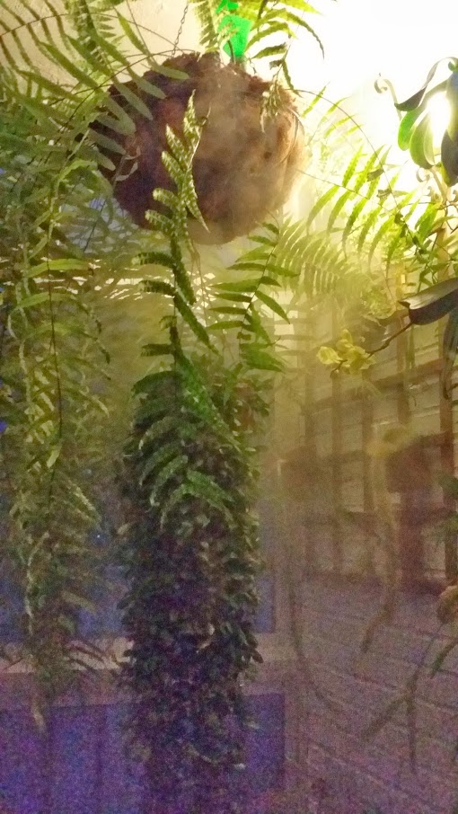 20140415_205009.jpg