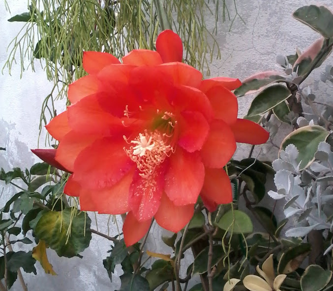 20140416_165212.jpg