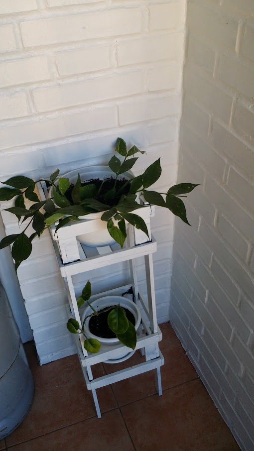 20140425_184608.jpg