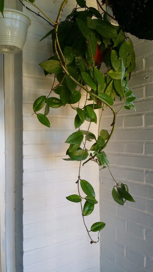 20140425_184631.jpg