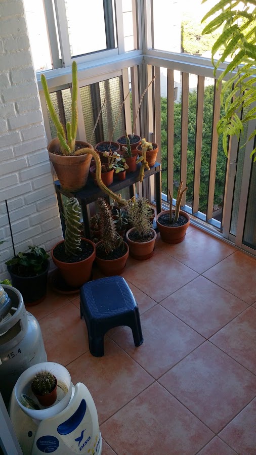 20140425_191334.jpg