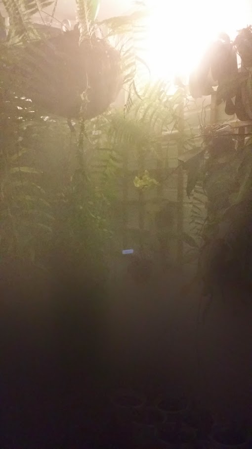 20140425_205911.jpg