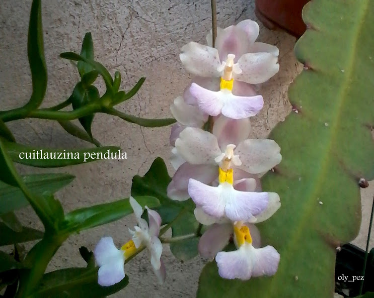 20140426_170929.jpg