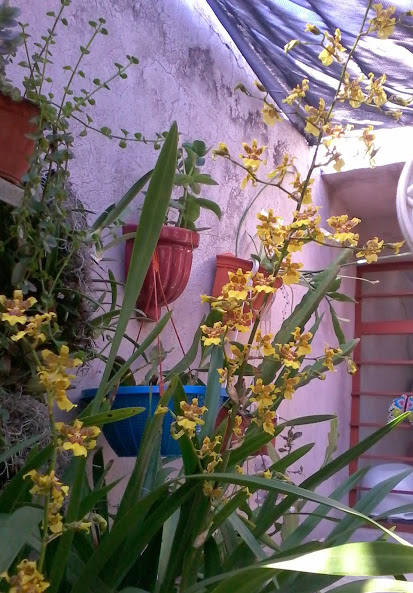 20140426_170956.jpg