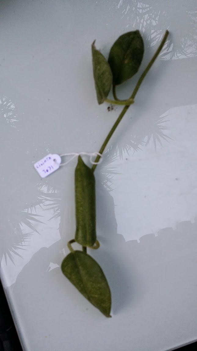 20140508_192052.jpg