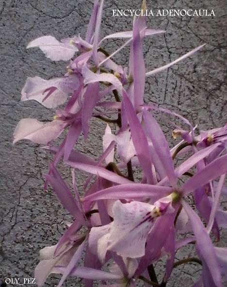 20140513_182127.jpg