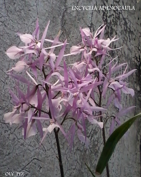 20140513_182148.jpg