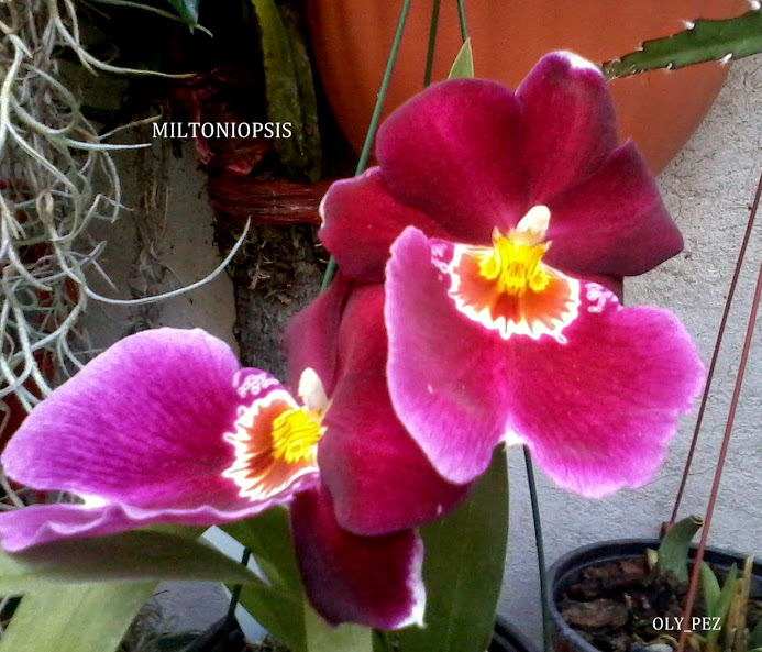 20140513_182247.jpg