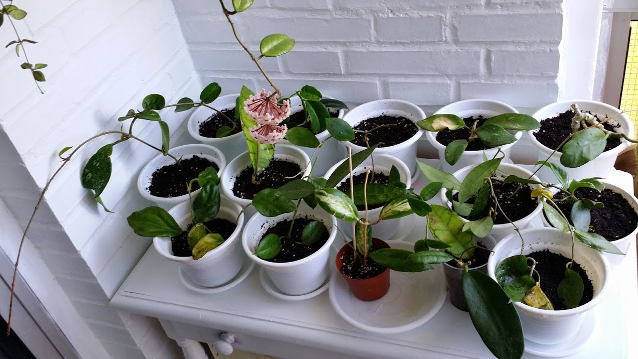 20140517_142107.jpg