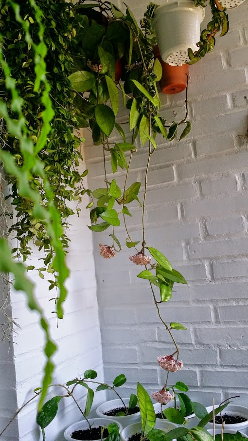 20140517_142203.jpg