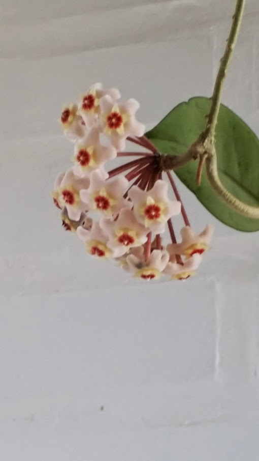20140517_142229.jpg