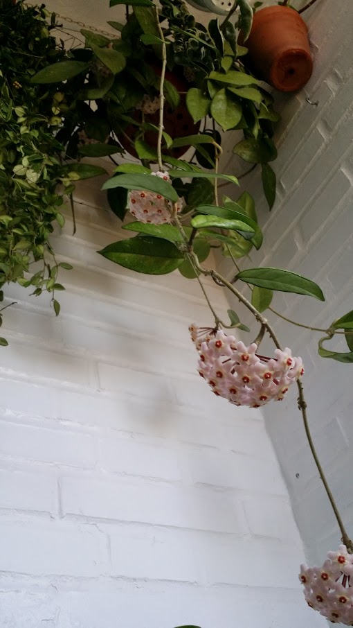 20140517_142306.jpg