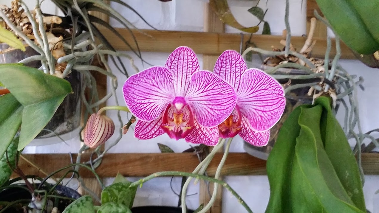 20140517_142448.jpg