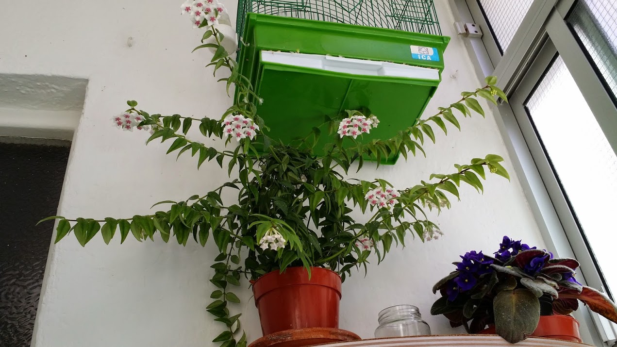 20140517_143220.jpg