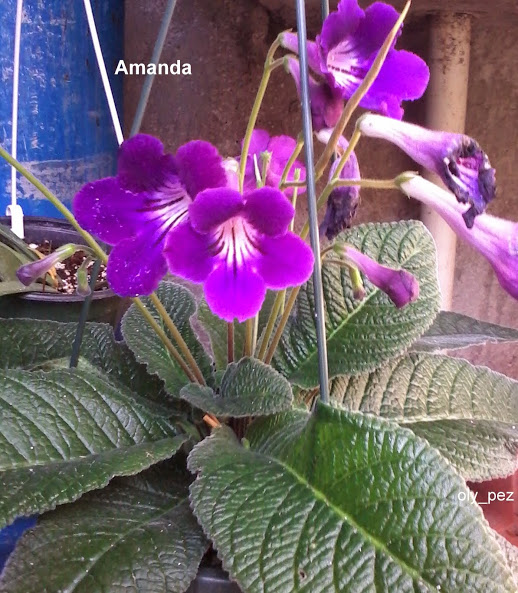 20140524_102846.jpg