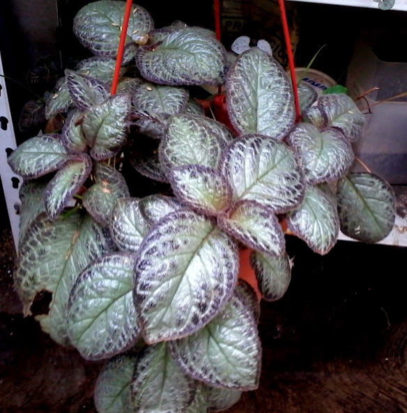20140524_114151.jpg
