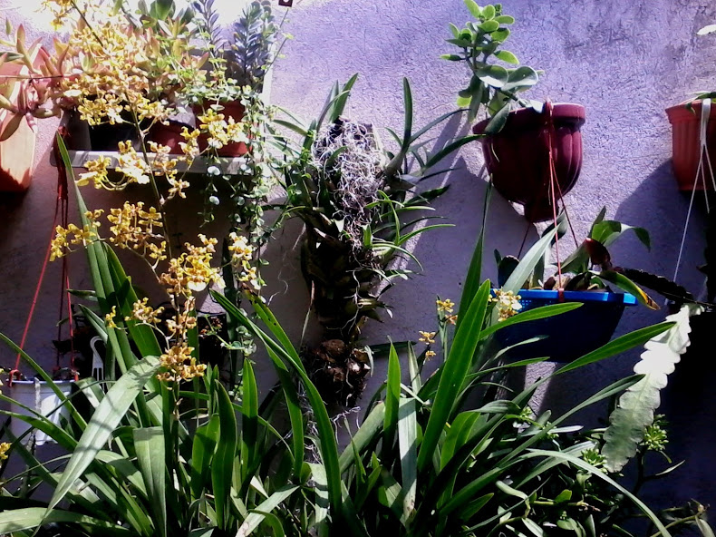 20140524_115031.jpg
