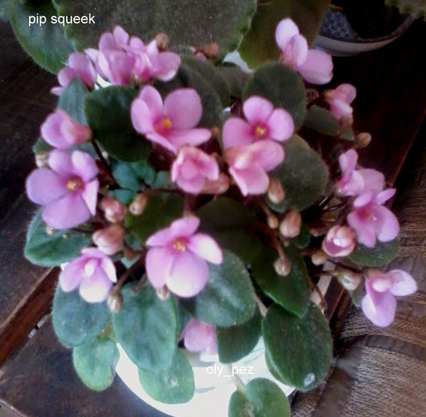20140525_095710.jpg