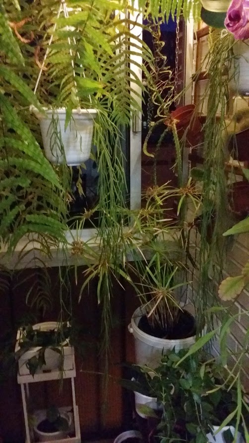 20140530_213252.jpg