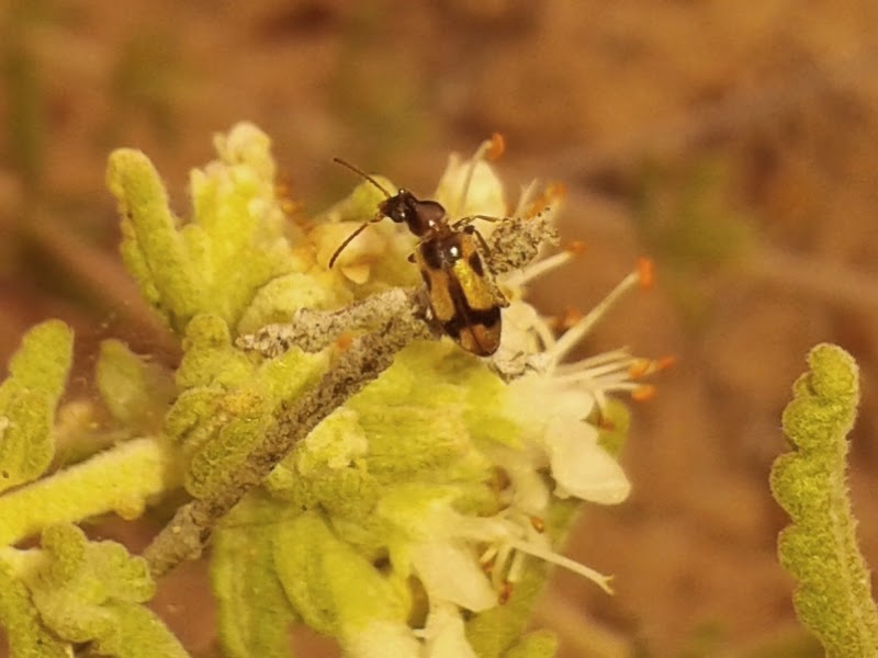 20140531_172005.jpg