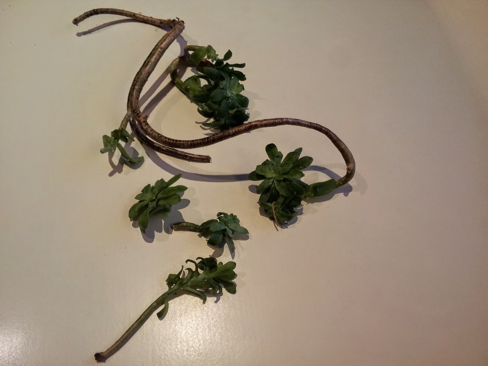 20140531_220615.jpg