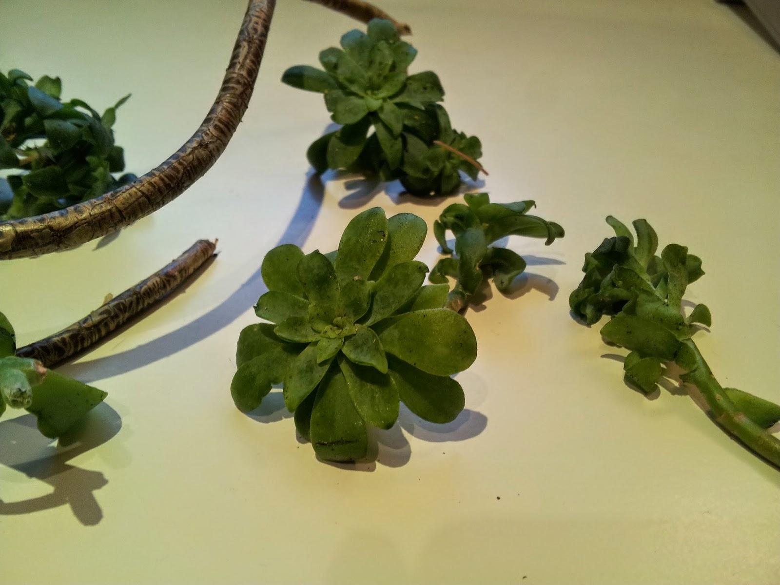 20140531_220700.jpg