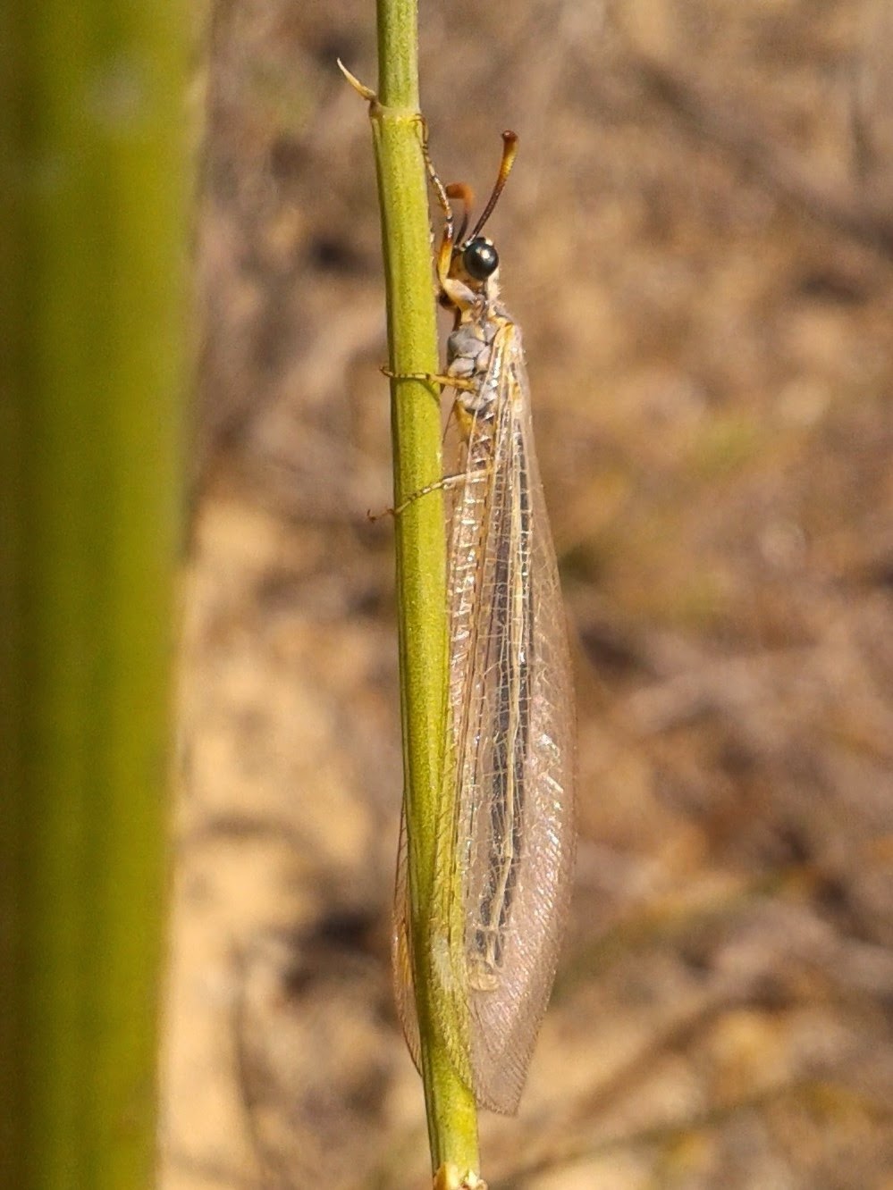 20140607_134524.jpg