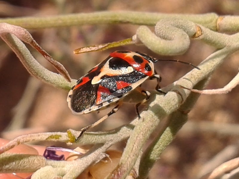 20140607_142605.jpg