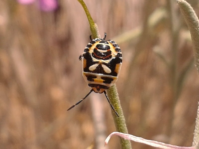 20140607_142752.jpg