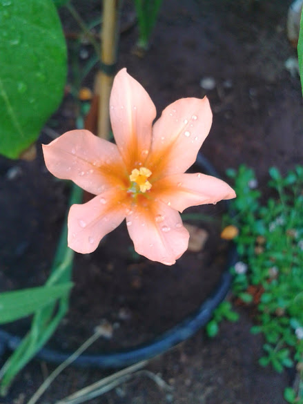 20140608_104719.jpg