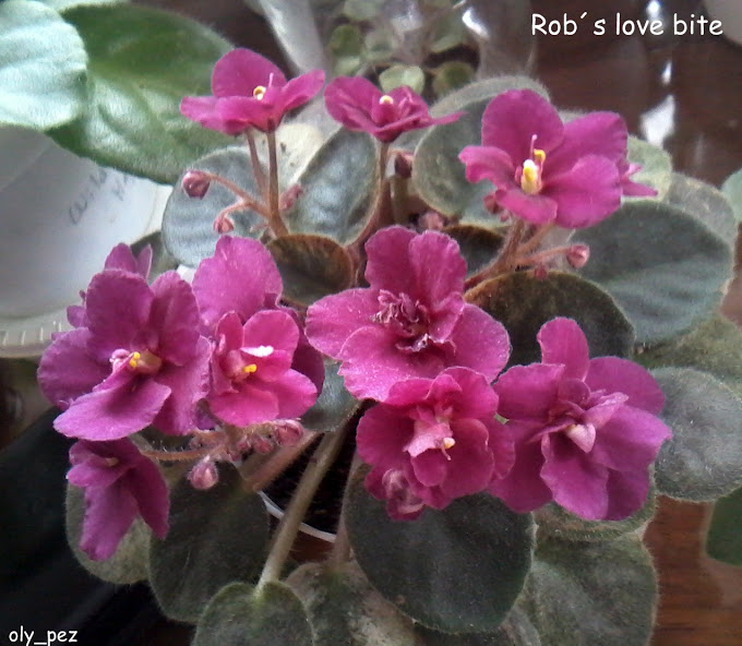 20140613_165153.jpg