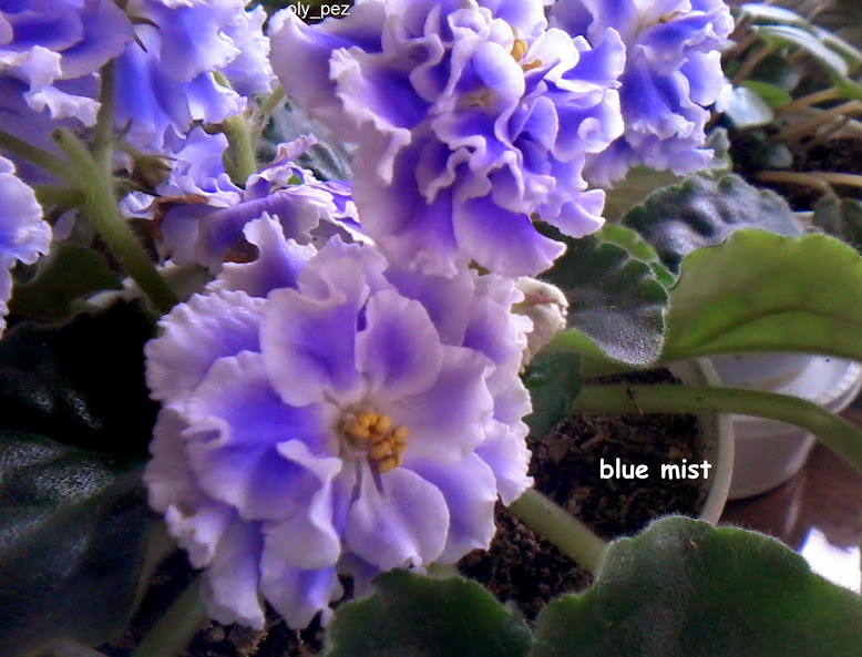 20140613_165617.jpg