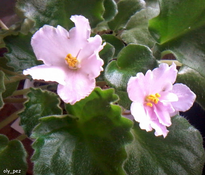 20140613_165625.jpg