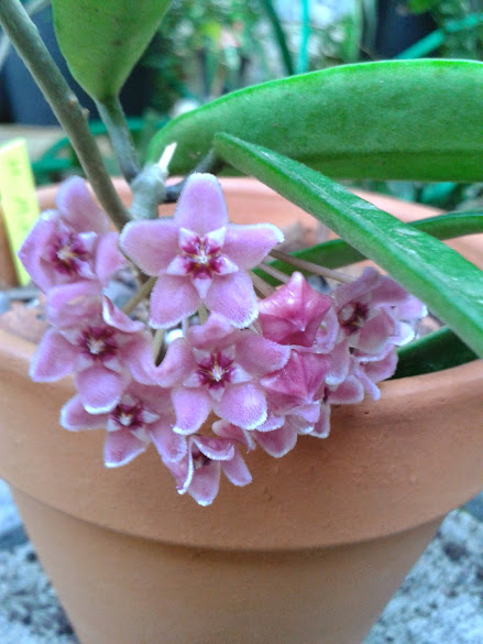 20140623_083737.jpg