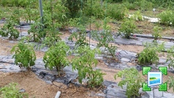 20140624090201.jpg